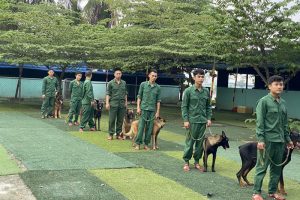 Trung tâm huấn luyện chó cảnh chuyên nghiệp tại TPHCM