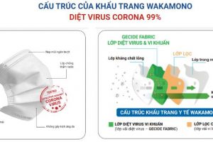 Khẩu trang Wakamono